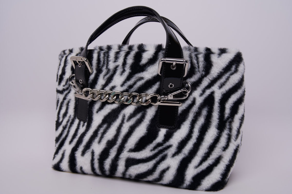 Zebra 2021
